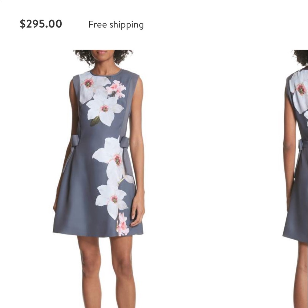 Ted Baker Chatsworrth A line dress